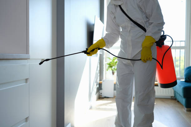 Best Local Mold Removal Service  in Mantua, VA
