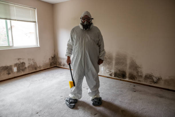 Best Certified Mold Removal  in Mantua, VA
